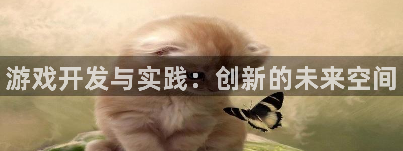 杏运娱乐：游戏开发与实践：创新的未来空间