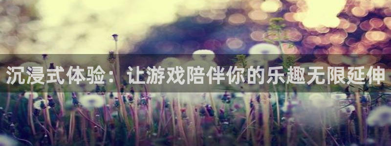 杏运体育：沉浸式体验：让游戏陪伴你的乐趣无限延伸