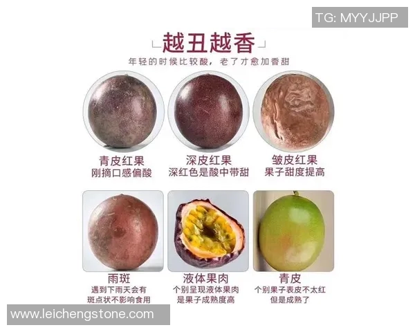 水果的奇妙世界:探索不同种类水果的营养价值与健康益处 水果的奇妙世界:探索不同种类水果的营养价值与健康益处